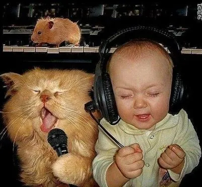 Fotos graciosas de música ~ Fotos e imagenes graciosas, chistosas ... Fotos graciosas de música ~ Fotos e imagenes graciosas, chistosas ...