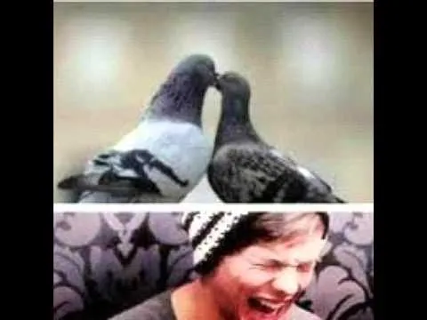 Fotos Graciosas de One Direction Part 1 - YouTube Fotos Graciosas de One Direction Part 1 - YouTube