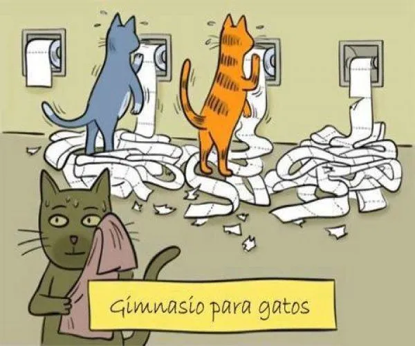 2 Fotos Graciosas Para Reir Y Compartir 2013 | Imagenes Lindas
