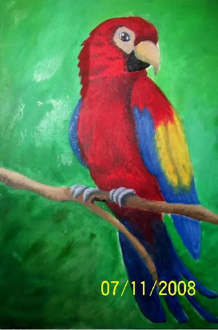 Guacamaya roja dibujo - Imagui