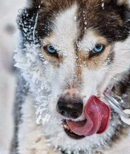 Fotos en HD DE - Alta definición -Fondos e Imágenes.