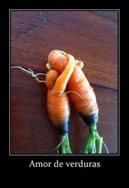 Fotos de humor: Amor deverduras. Fotos divertidas y humor para tu ...