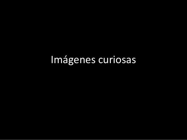 Fotos imágenes curiosas