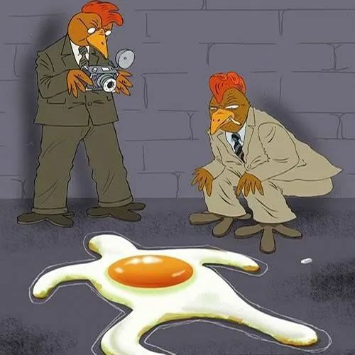 Imagenes chistosas de pollos - Imagui