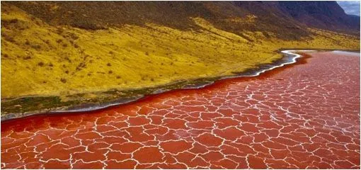 Fotos] Los impresionantes paisajes del lago Natrón en África ...