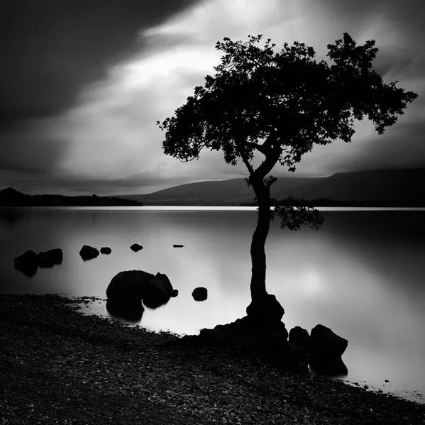 Fotos increíbles en blanco y negro (34 elementos) | Banco de Imágenes