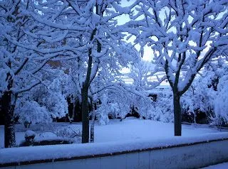 Fotos del invierno.