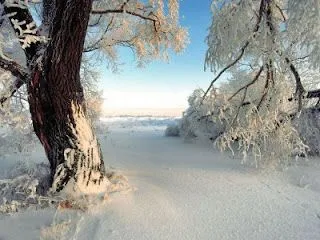 Fotos del invierno.