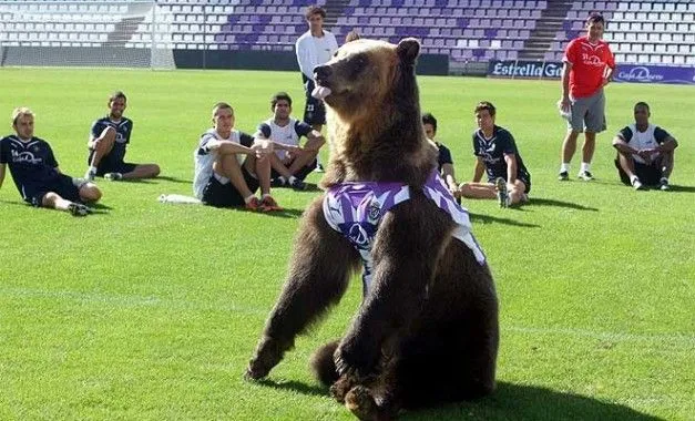 Fotos lengua - Resultados de Fútbol