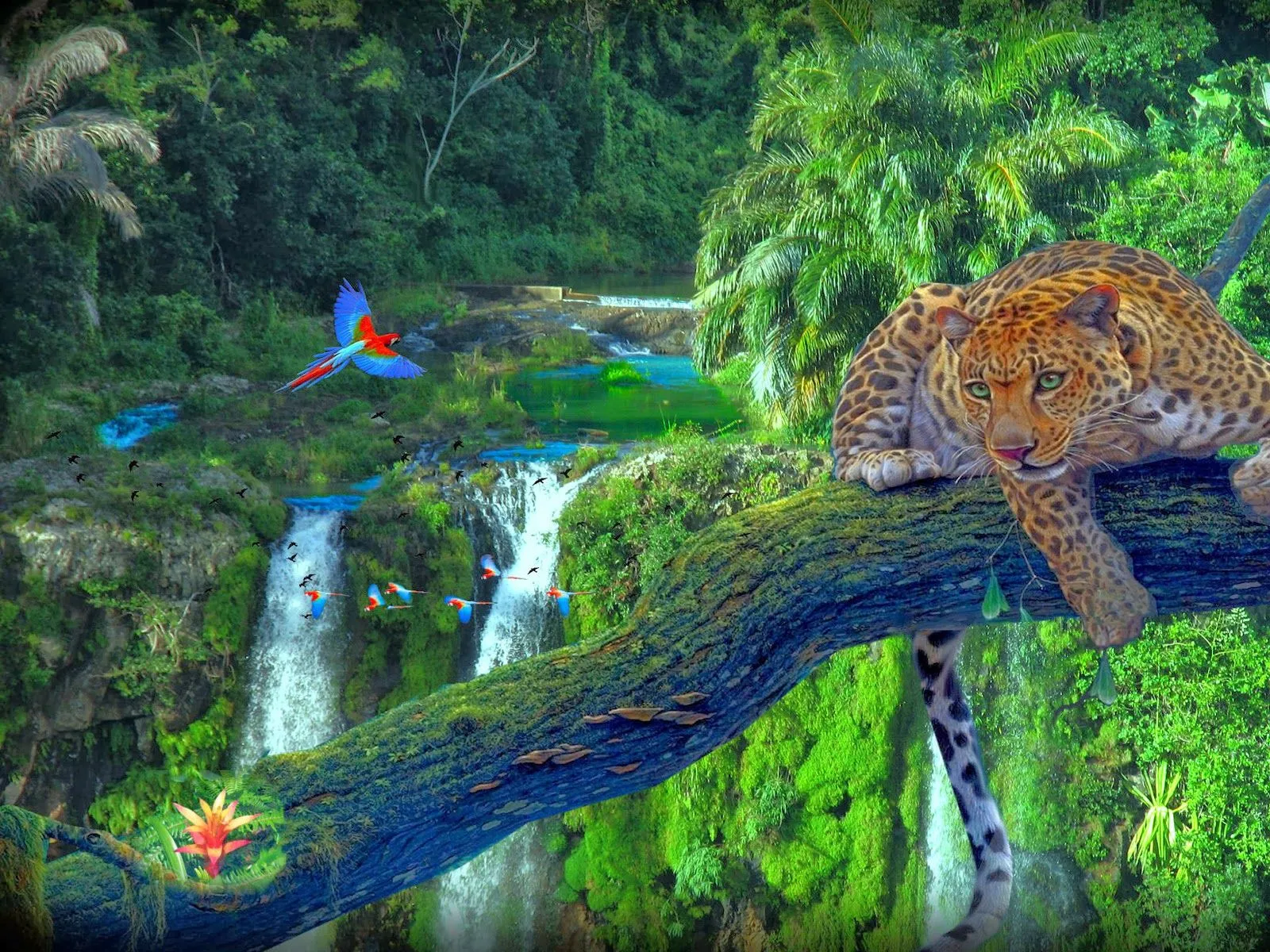 Las mejores imagenes en HD del mundo - Imagui Las mejores imagenes en HD del mundo - Imagui
