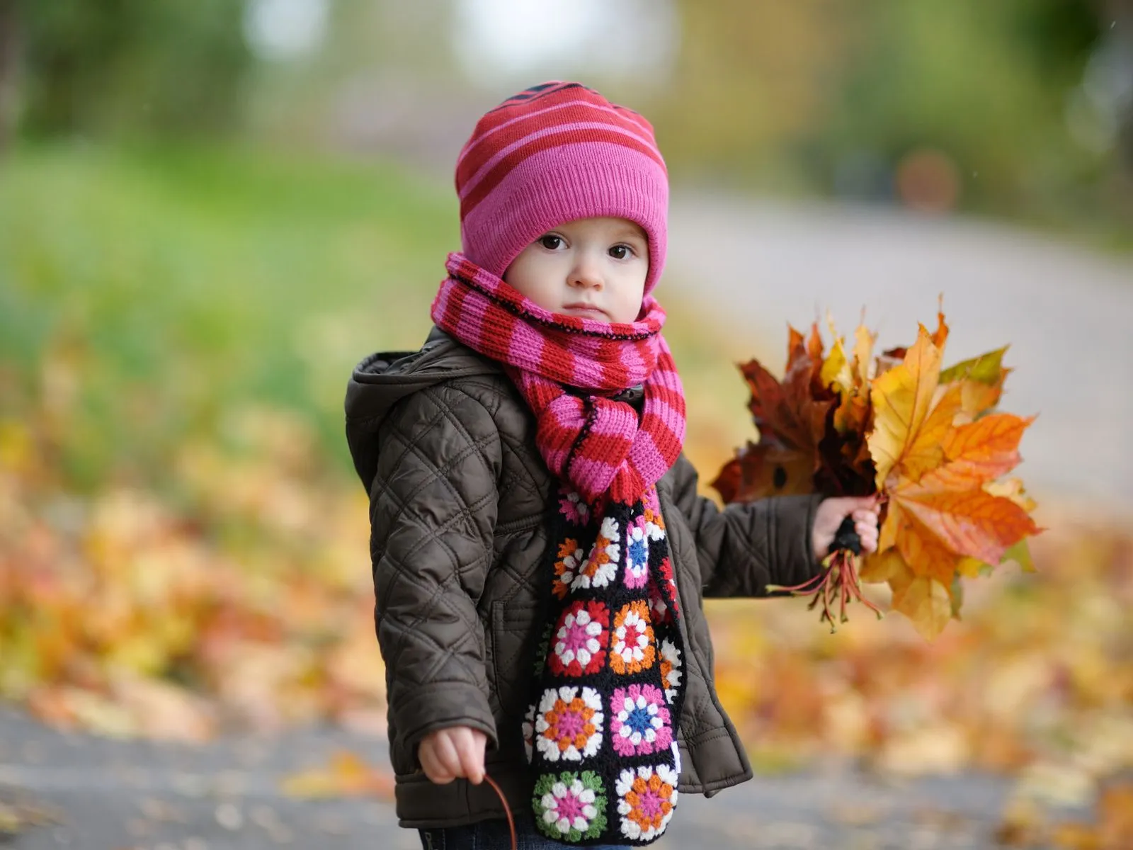 Fotos de una linda niña recogiendo hojas caídas de otoño ~ Mejores ... Fotos de una linda niña recogiendo hojas caídas de otoño ~ Mejores ...