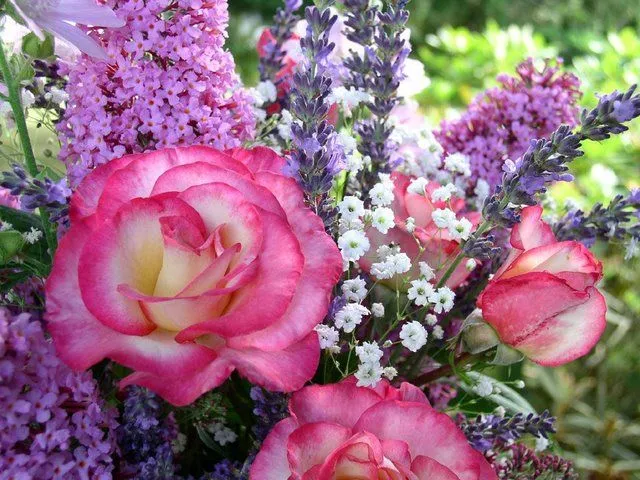 04=FLORES LINDAS