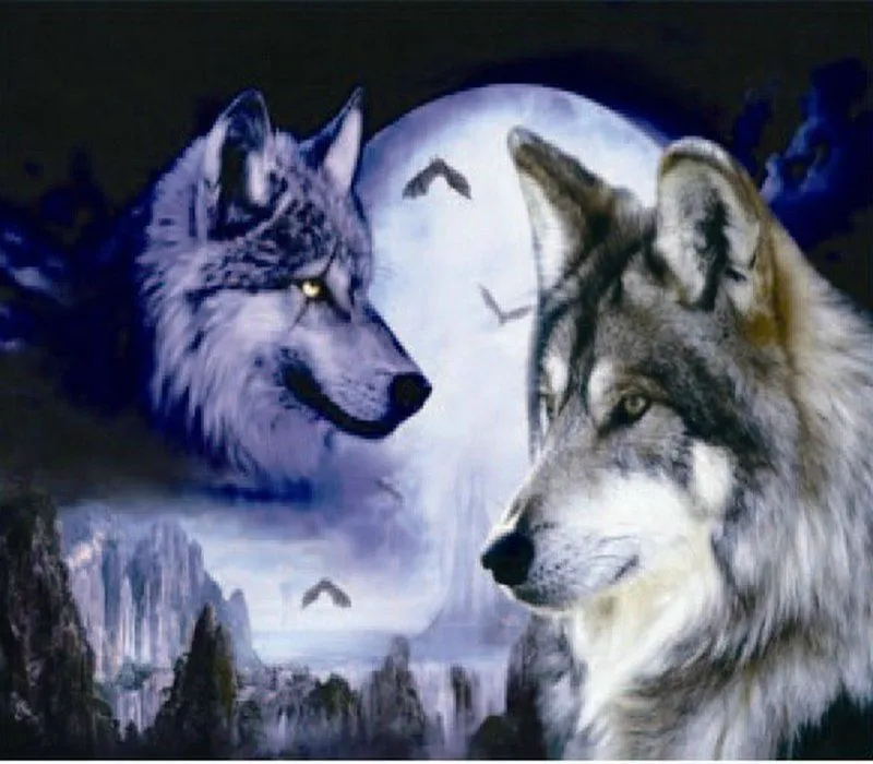 fotos de lobos 01 MEMES Pictures