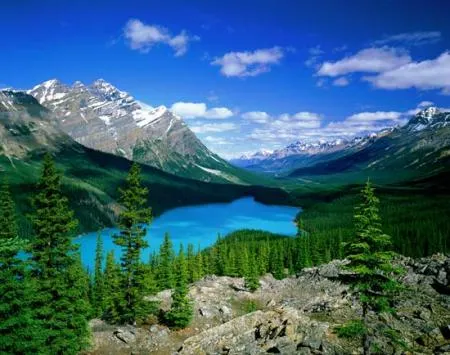 peyto-lake.jpg