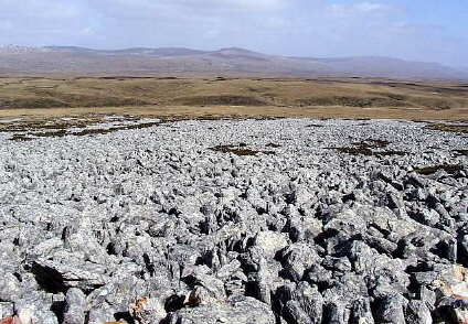 Fotos Malvinas - Paisajes de las Islas Malvinas (