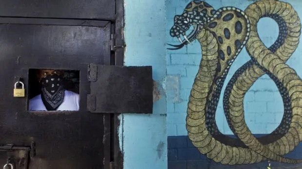 FOTOS: los Mara Salvatrucha y los M18, las peligrosas pandillas de ... FOTOS: los Mara Salvatrucha y los M18, las peligrosas pandillas de ...