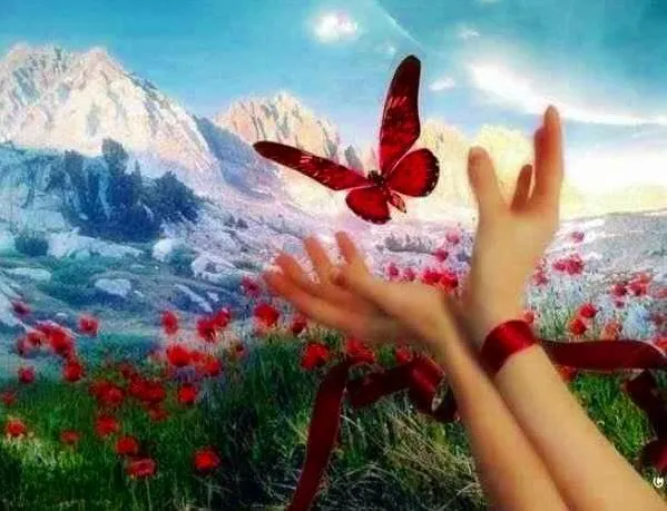 Fotos De Mariposas Bonitas | Imagenes bonitas | MY FACE BOOK ... Fotos De Mariposas Bonitas | Imagenes bonitas | MY FACE BOOK ...