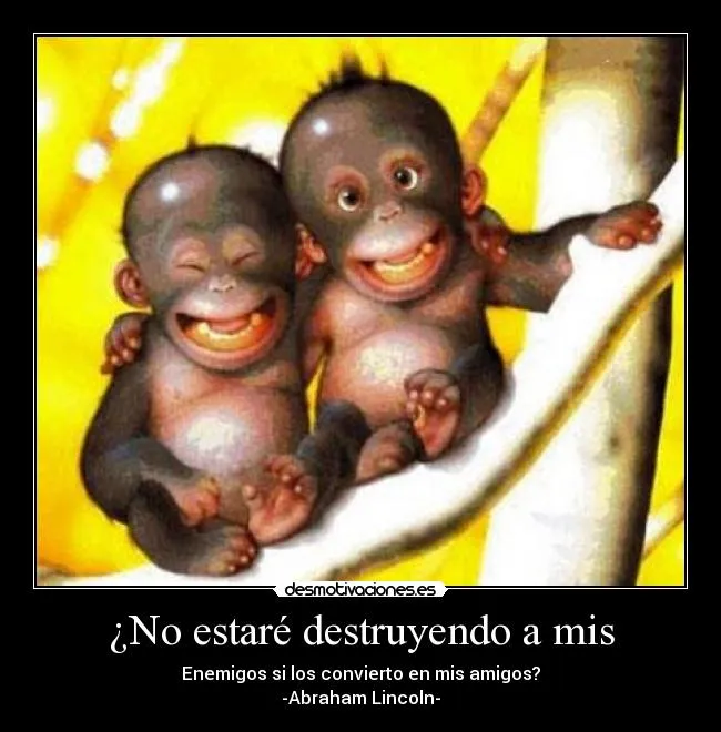Imágenes con frases de monos - Imagui