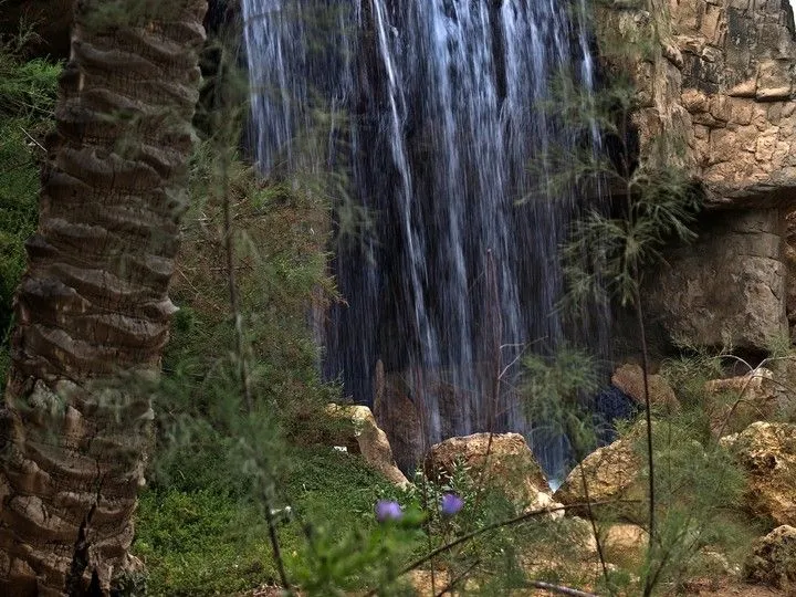 Fotos en El Tiempo - Página 1 Fotos en El Tiempo - Página 1