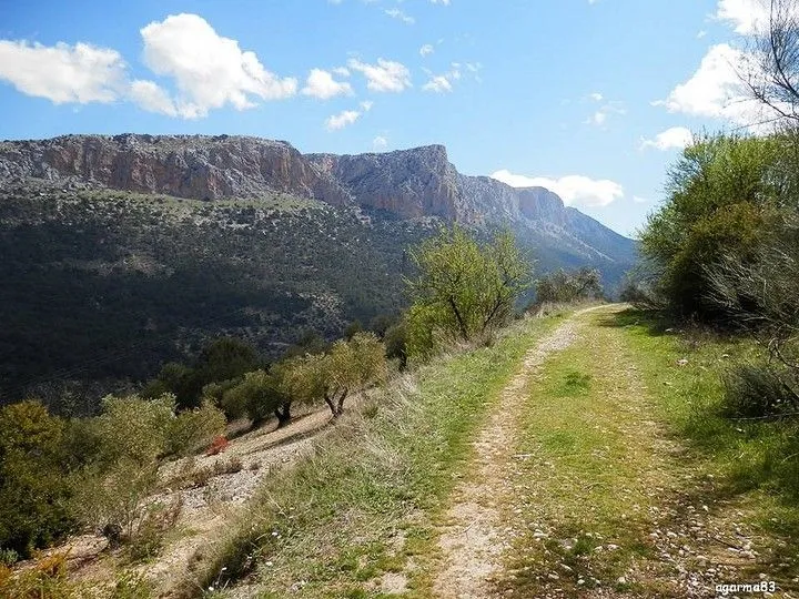 Fotos en El Tiempo - Página 1 Fotos en El Tiempo - Página 1