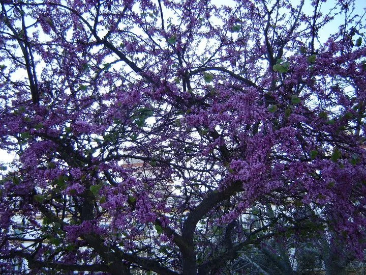 Fotos en El Tiempo - Página 1 Fotos en El Tiempo - Página 1