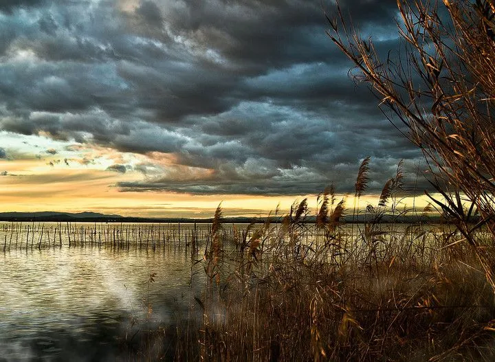 Fotos en El Tiempo - Página 1 Fotos en El Tiempo - Página 1