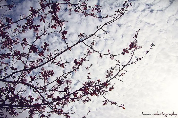 Fotos en El Tiempo - Página 1 Fotos en El Tiempo - Página 1