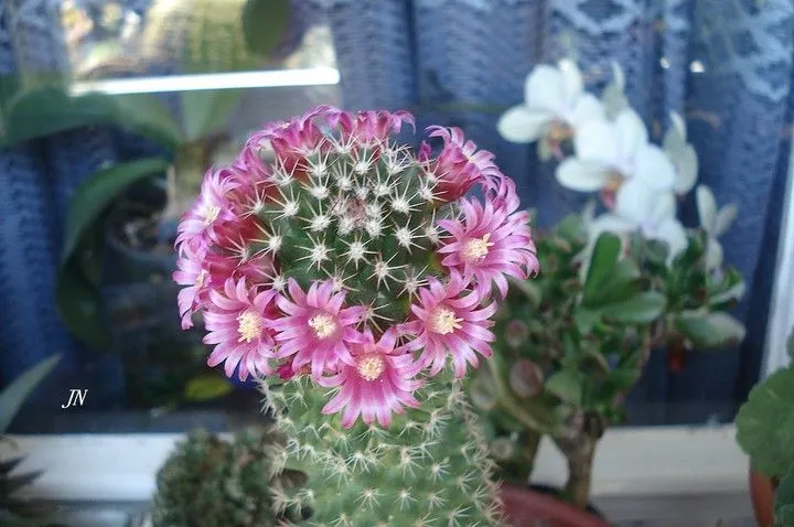 Fotos en El Tiempo - Página 1 Fotos en El Tiempo - Página 1