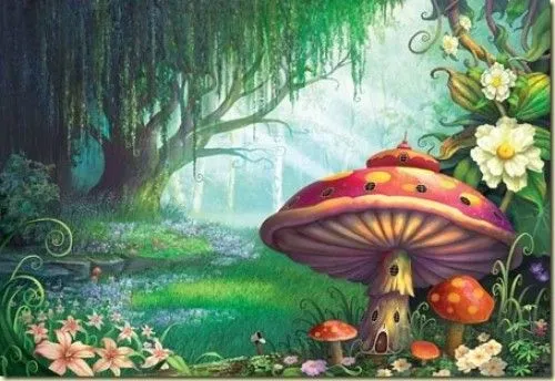 Imágenes lindas sobre paisajes de bosques encantados | Imagenes ... Imágenes lindas sobre paisajes de bosques encantados | Imagenes ...