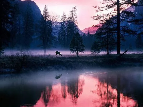 Dinero Bloggeando, Una excelente fotografía, y un hermoso paisaje Dinero Bloggeando, Una excelente fotografía, y un hermoso paisaje