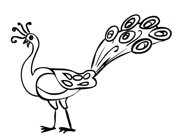 Fotos de pavorreales para colorear - Imagui