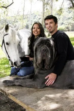 Fotos de los perros mas bonitos del mundo - Imagui Fotos de los perros mas bonitos del mundo - Imagui