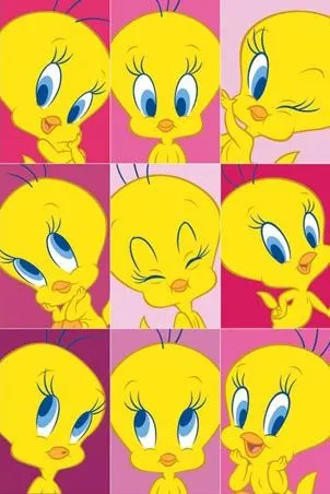 FOTOS DE PIOLIN PARA NIÑOS.