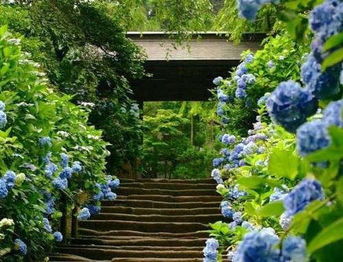 Fotos de la primavera en Japón | SobreFotos Fotos de la primavera en Japón | SobreFotos