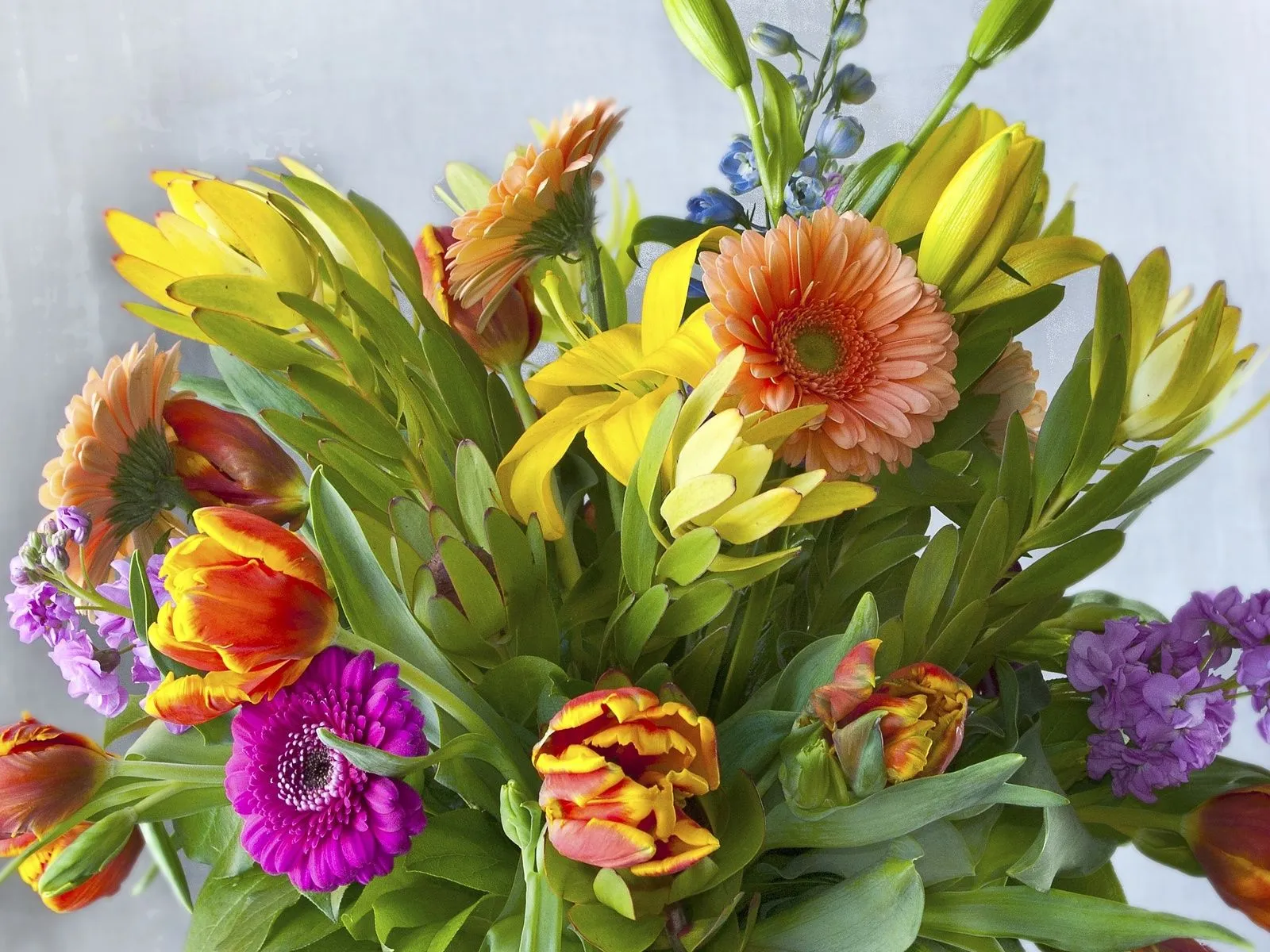 Fotos de ramo de flores para facebook ~ Mejores Fotos del Mundo ... Fotos de ramo de flores para facebook ~ Mejores Fotos del Mundo ...