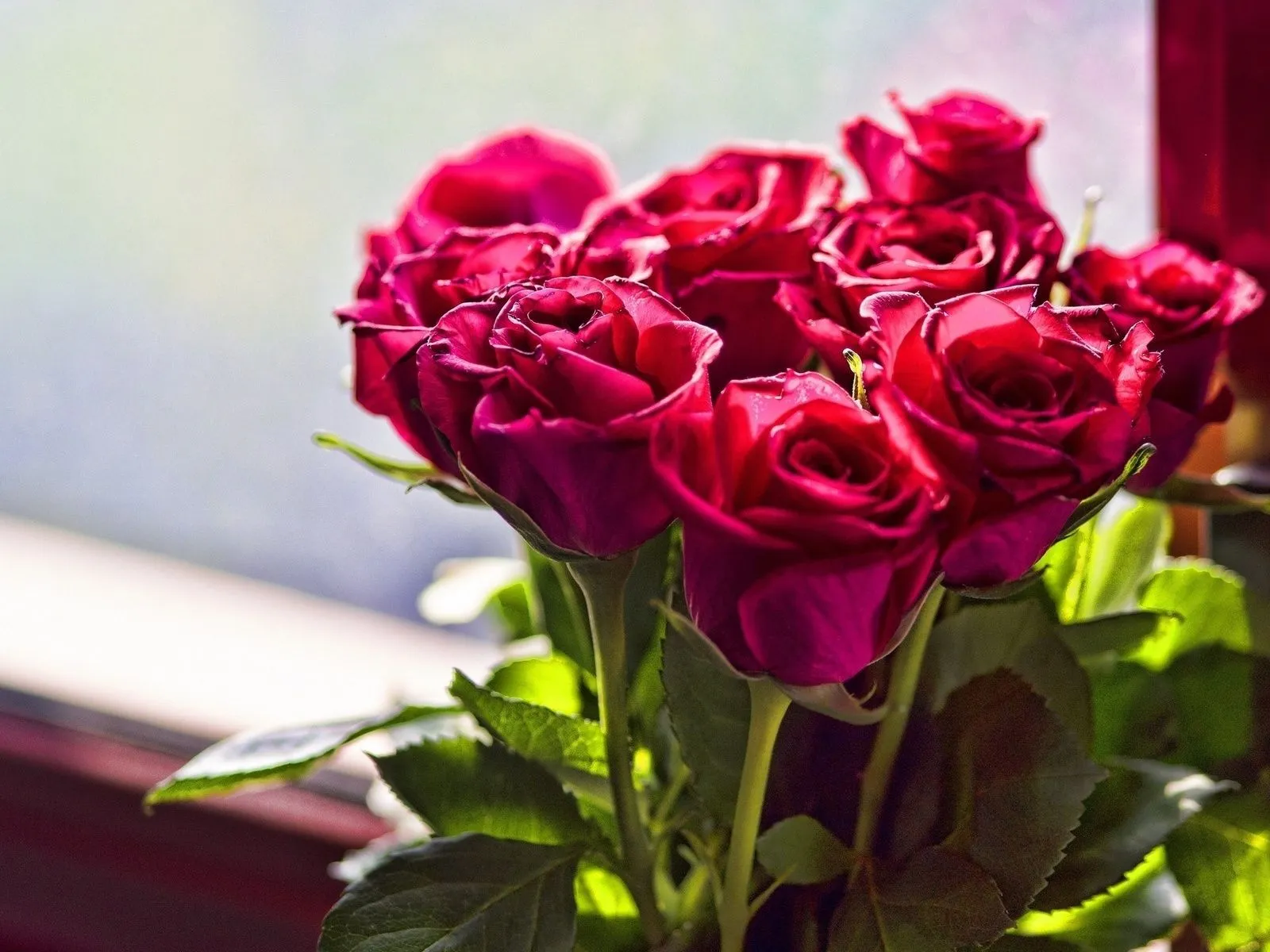 fotos de ramo de rosas para facebook ~ Mejores Fotos del Mundo ... fotos de ramo de rosas para facebook ~ Mejores Fotos del Mundo ...