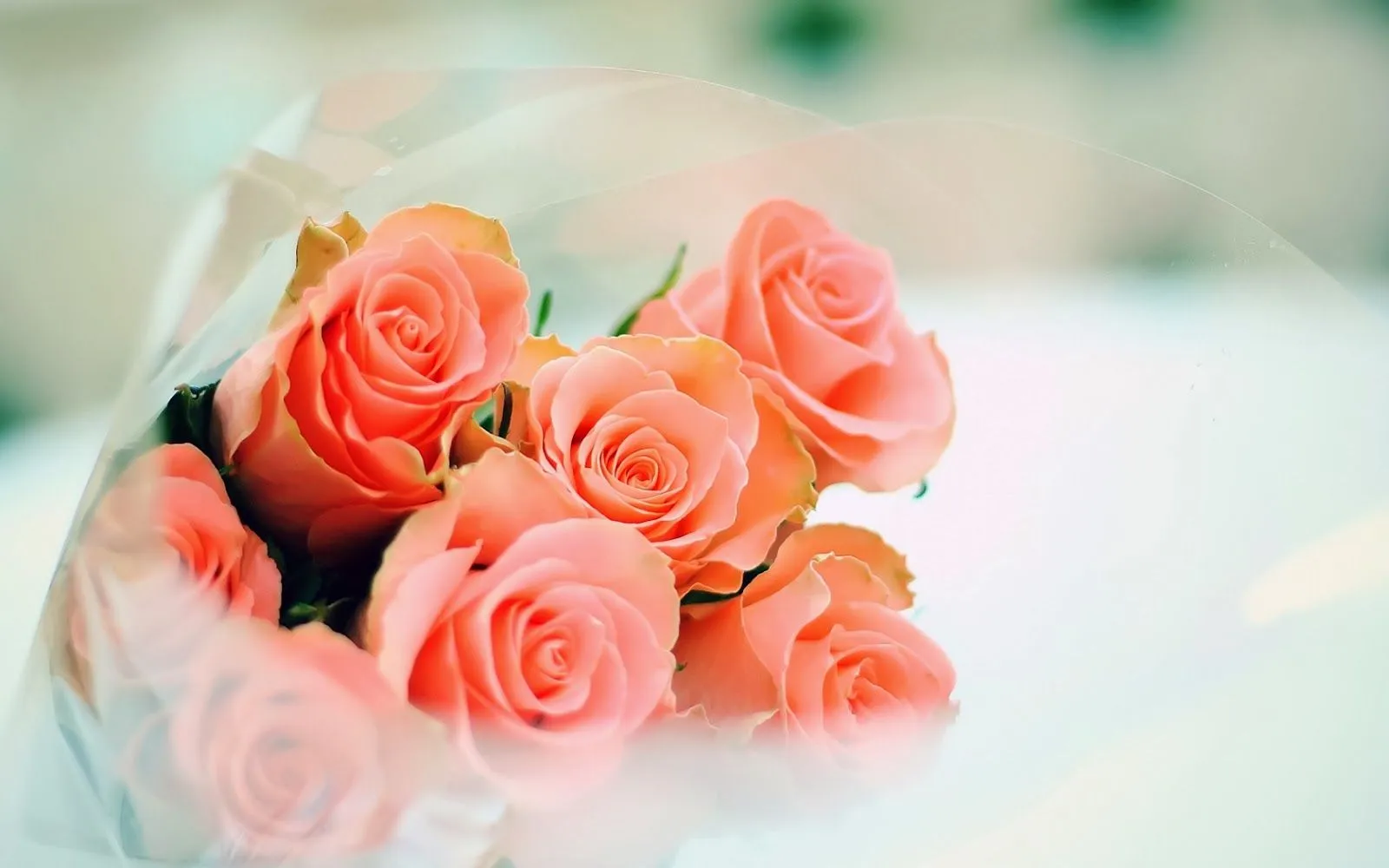Fotos de ramo de rosas | Fotos Bonitas de Amor | Imágenes Bonitas ... Fotos de ramo de rosas | Fotos Bonitas de Amor | Imágenes Bonitas ...