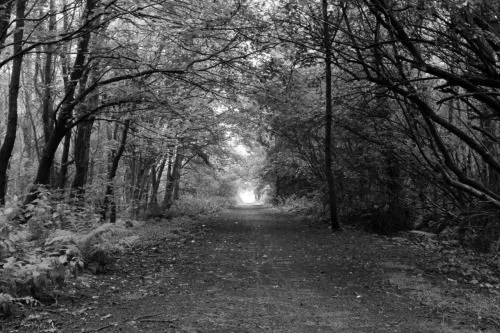 Fondos Tumblr Paisajes Imagenes Tumblr