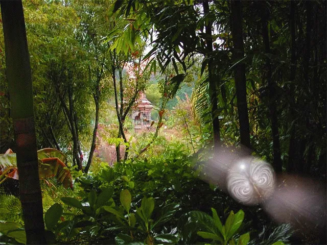 Fotos reales de seres magicos: Los seres elementales Fotos reales de seres magicos: Los seres elementales