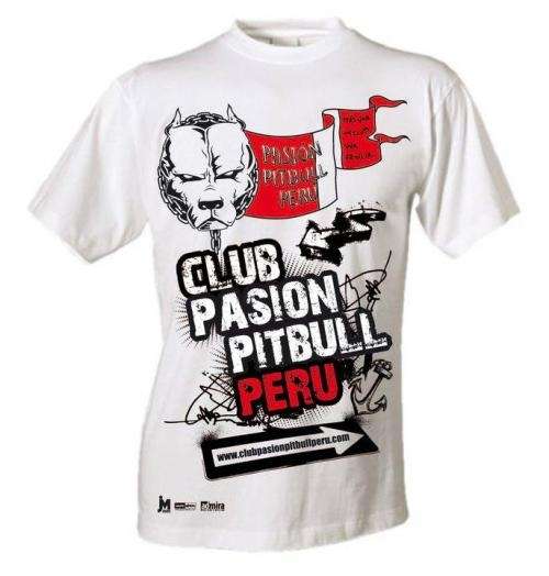 Club pitbull - Imagui