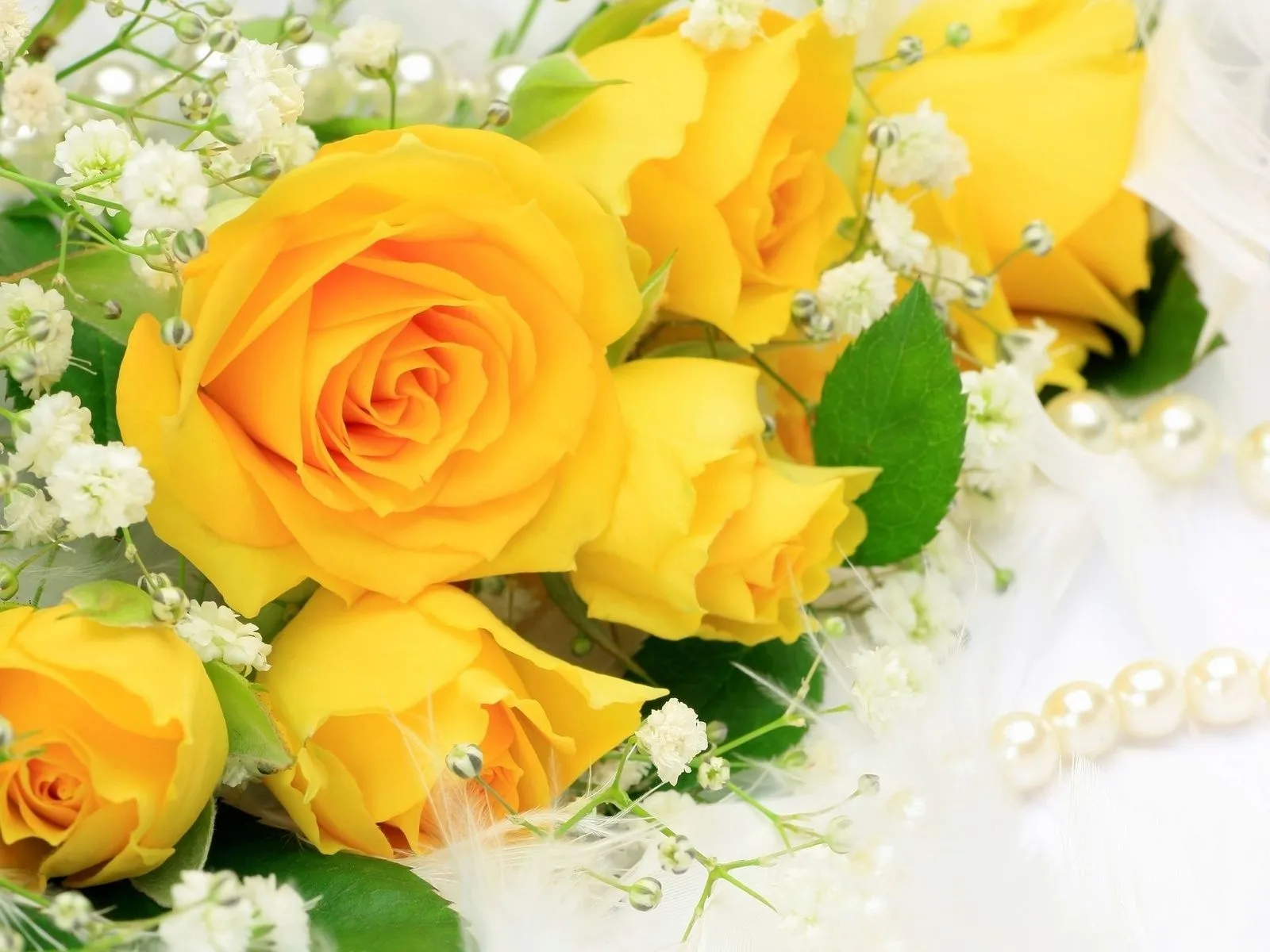 Fotos de rosas amarillas para facebook ~ Mejores Fotos del Mundo ...