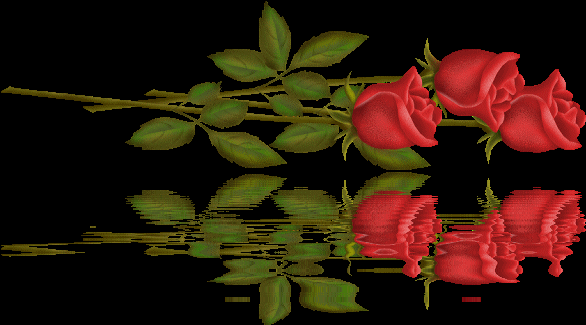 Hermosas Rosas con Movimiento❤ ~ ❤♥•Sinfonía de Amor y Amistad•♥❤ Hermosas Rosas con Movimiento❤ ~ ❤♥•Sinfonía de Amor y Amistad•♥❤