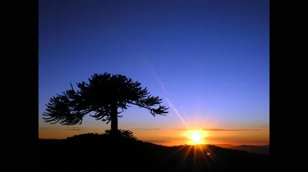 FOTOS: El Sol, atardeceres sobre el mar y paisajes en distintos ...