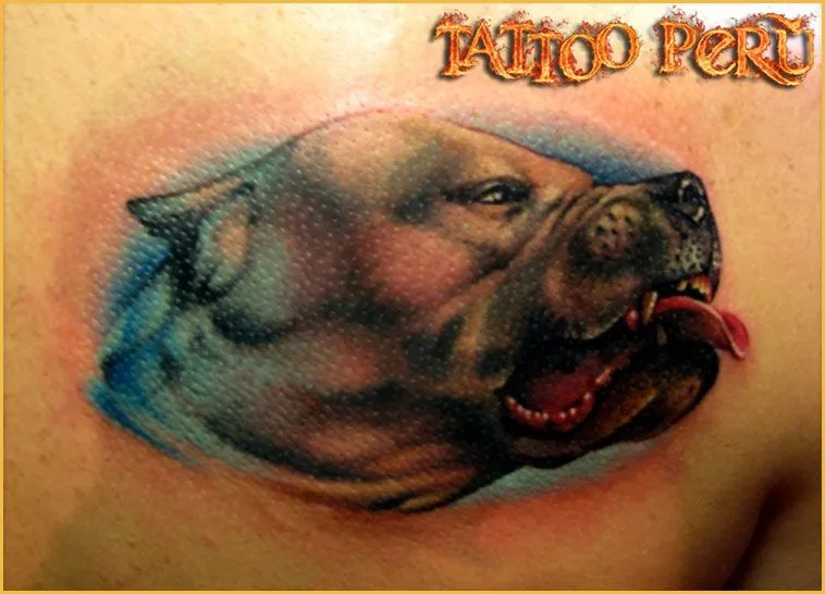 fotos de tatuajes - los mejores tatuadores estan en warriors peru ... fotos de tatuajes - los mejores tatuadores estan en warriors peru ...