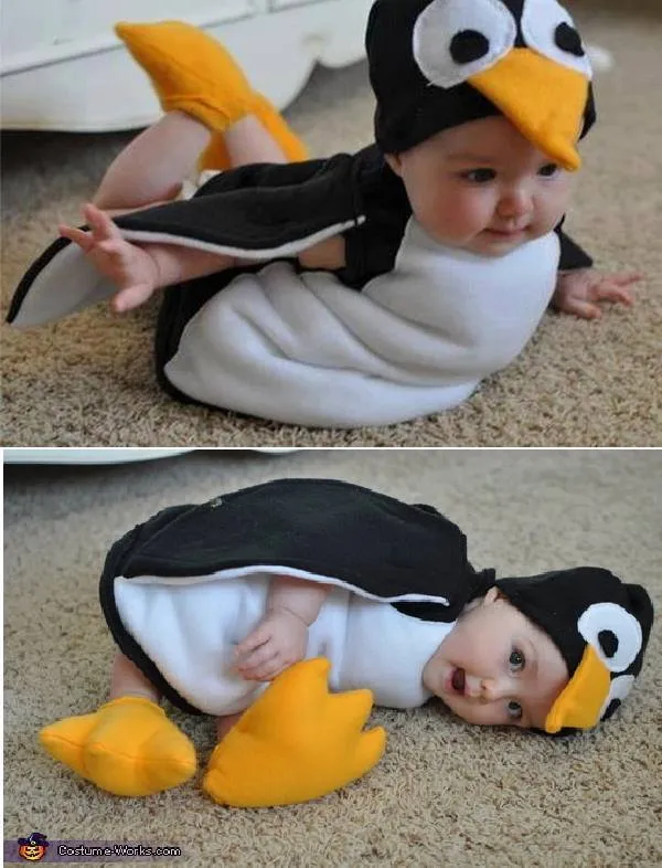 Fotos de tiernos bebes disfrazados de animales