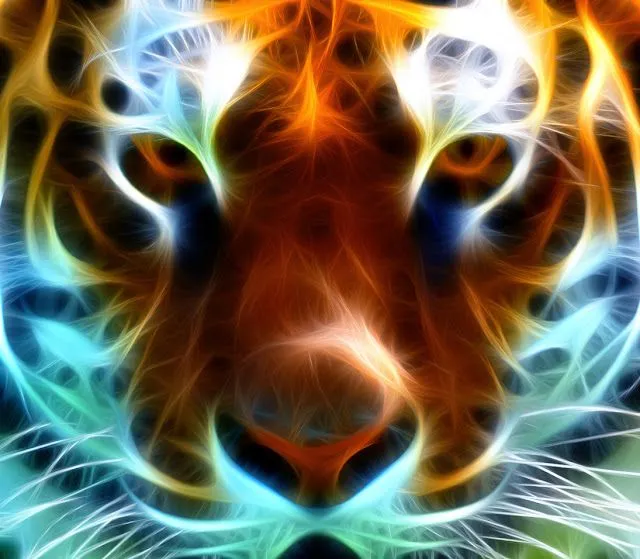 Imágenes en 3D tigres - Imagui