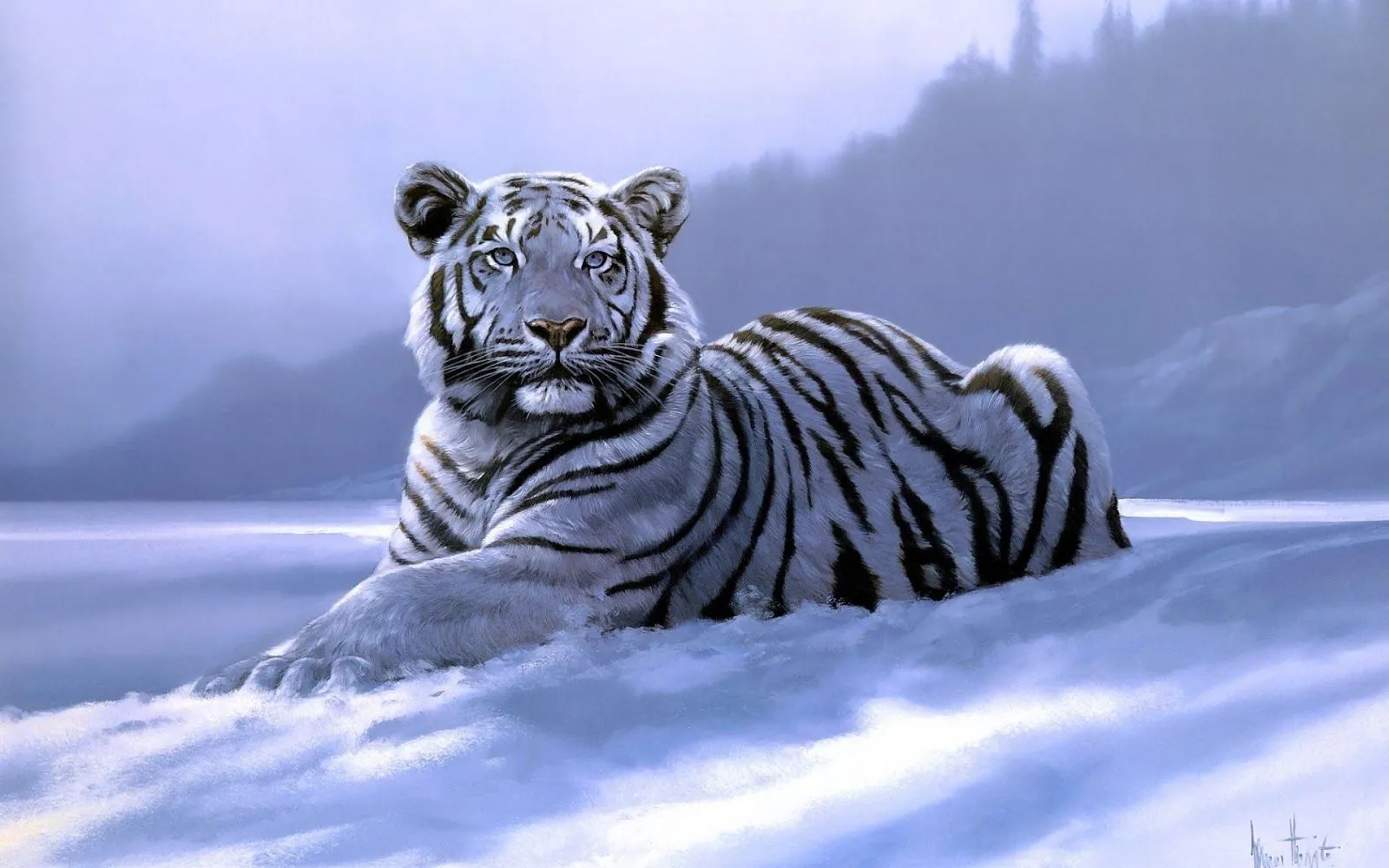 Fotos de Tigres en HD - Imagenes de Pantheras Tigris | Fotos e ...