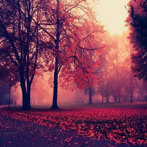Tumblr paisajes - Imagui