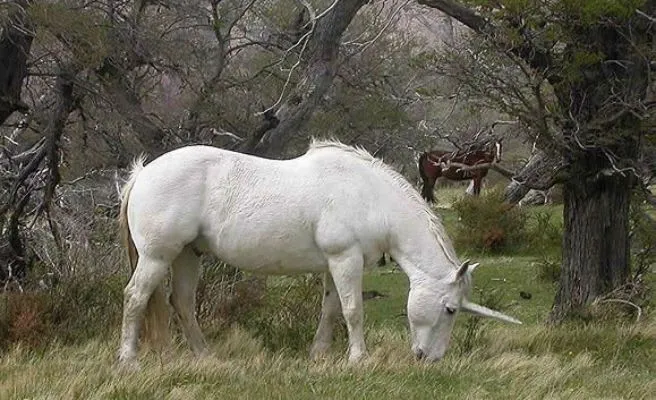 Criaturas legendarias que podrían ser reales -- Qué.es -- Criaturas legendarias que podrían ser reales -- Qué.es --