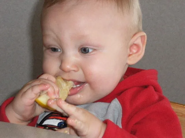 Fotos y videos de bebes comiendo limón – Fotos de bebes Fotos y videos de bebes comiendo limón – Fotos de bebes